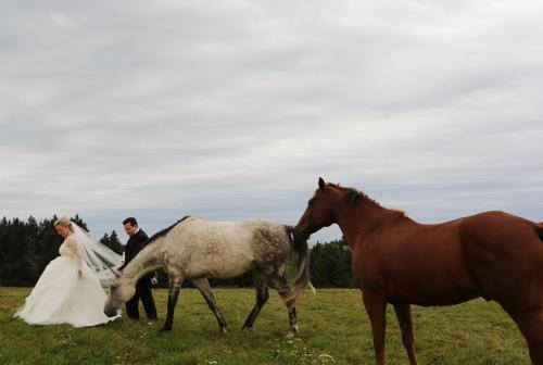 413254_10151103449191144_1906292366_o